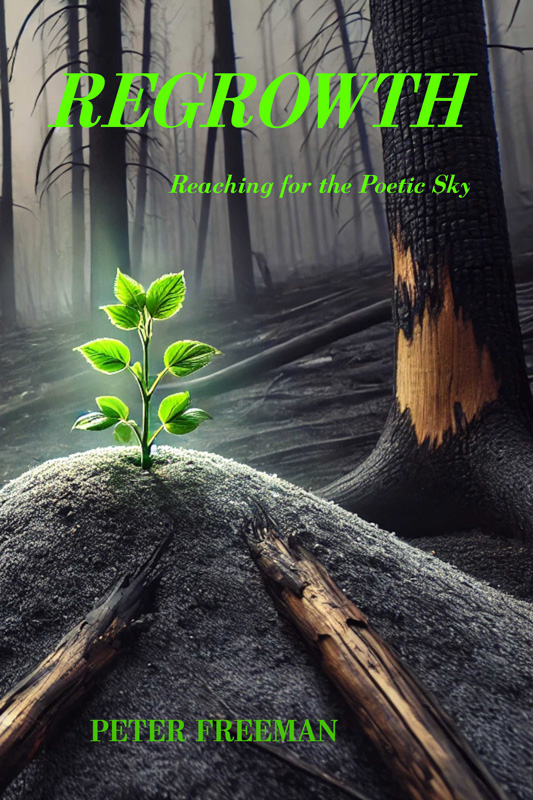 Regrowth by Peter Freeman